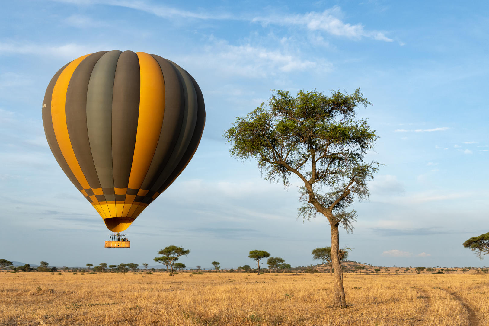 5-Day Tanzania Safari